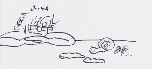 langsam-wie-eine-schnecke