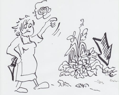 salathauptelillusionen